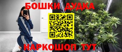 трава Сланцы