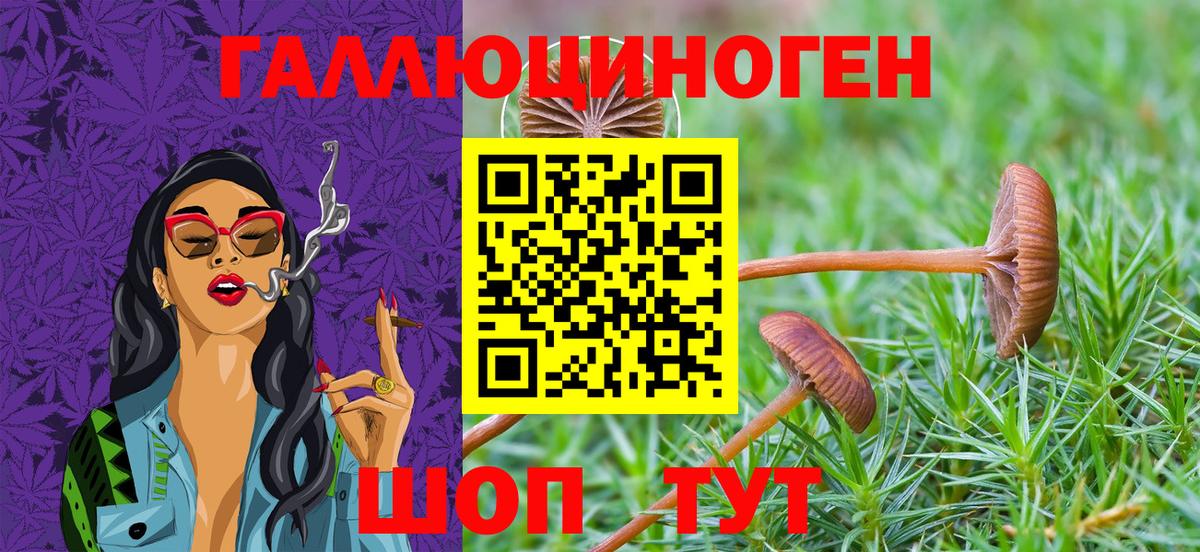 Галлюциногенные грибы MAGIC MUSHROOMS Нефтеюганск