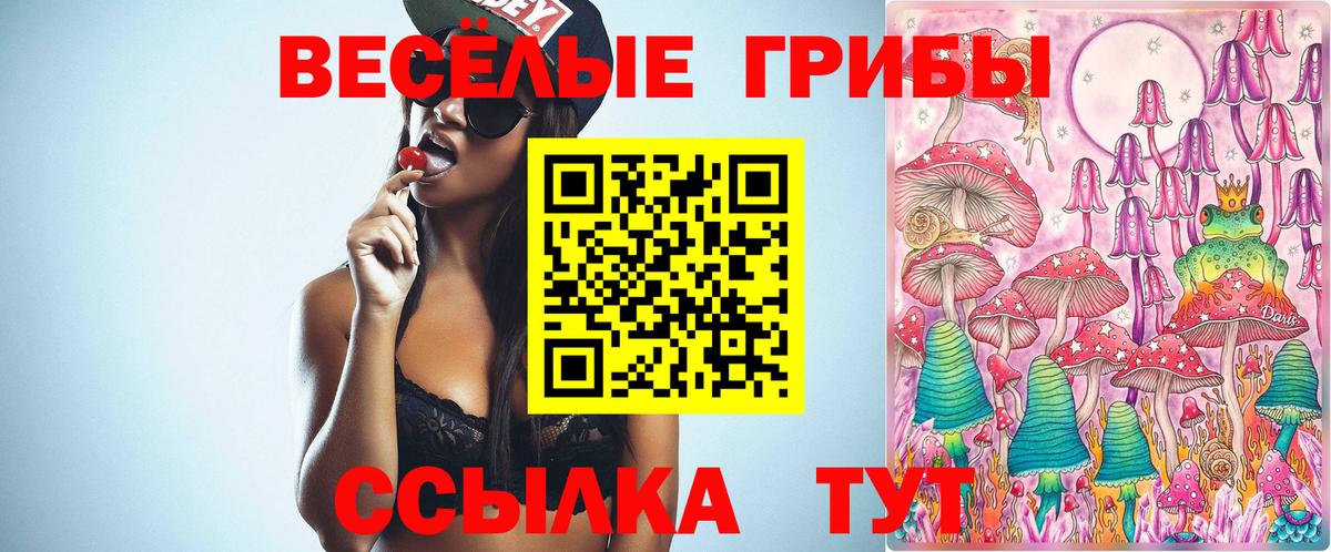 Псилоцибиновые грибы MAGIC MUSHROOMS  Вход с VPN  Нефтеюганск 